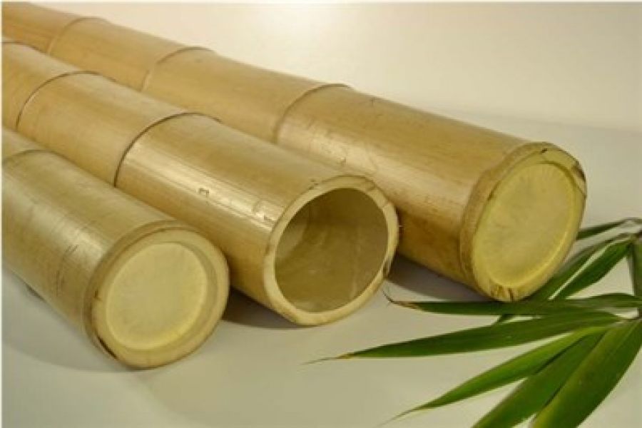 Bamboe palen naturel