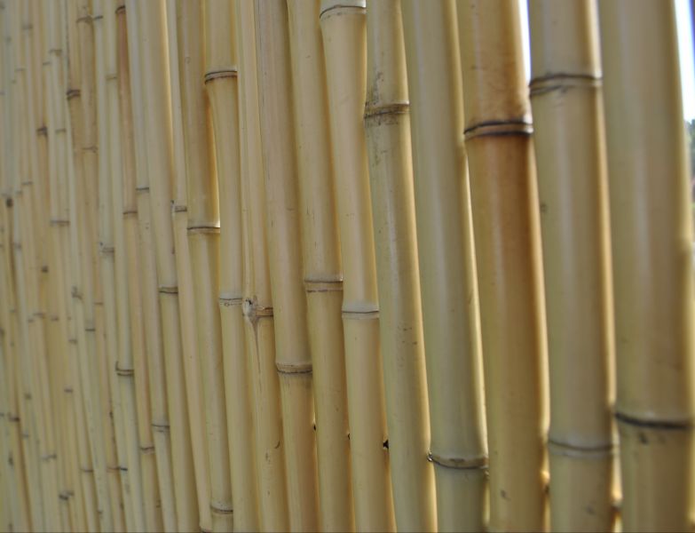 Ecohout Bamboemat naturel