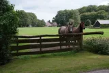 Miniatuur van Eiken weidepoort - wringhek