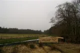 Miniatuur van Eiken weidepoort - wringhek