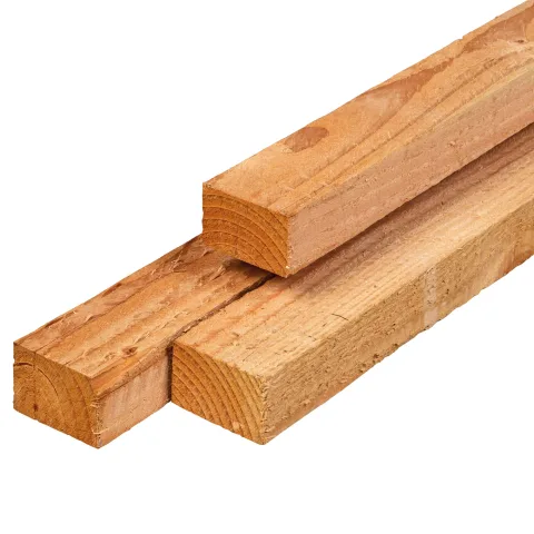 Lariks / douglas kepers - 6,2 x 8,5 cm - fijnbezaagd
