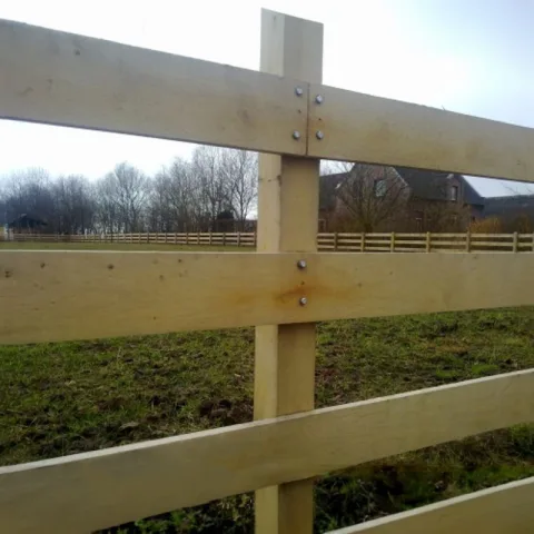 Paardenomheining
