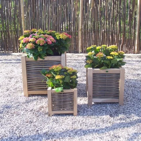 Eiken bloembak met hazelaartakken - 60 x 60 cm