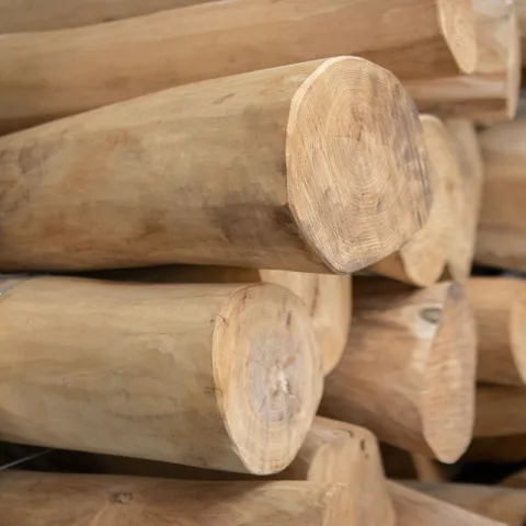 Robinia constructiepalen