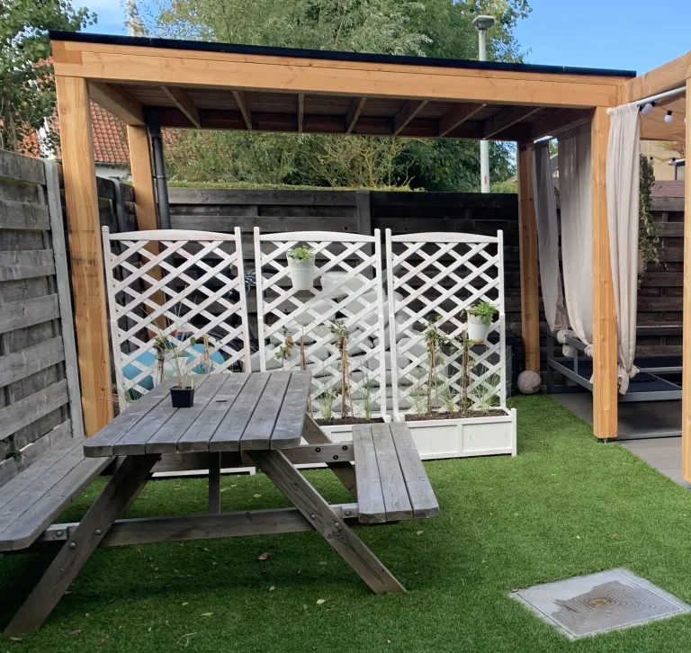 Douglas pergola Syrah - 3 x 3 m