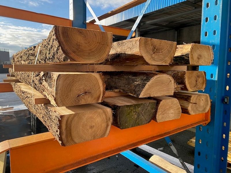 Robinia biels - naturel