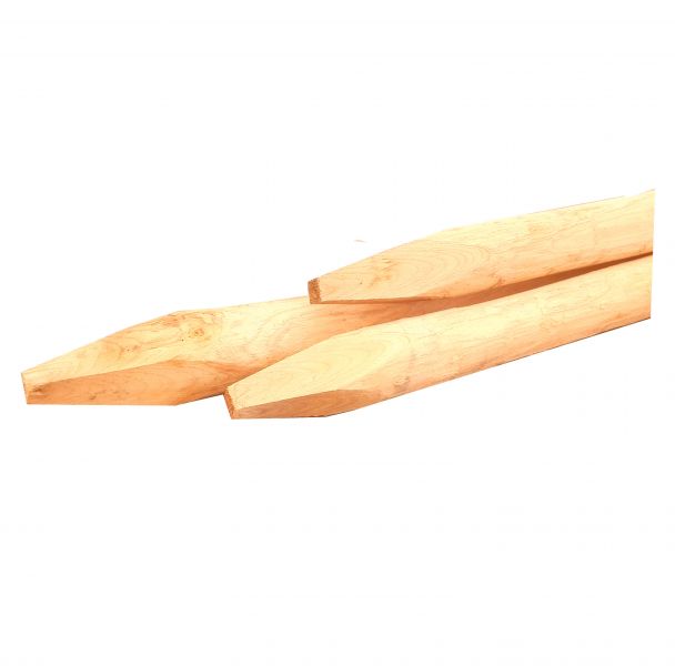 Kastanje palen - 6-8 cm