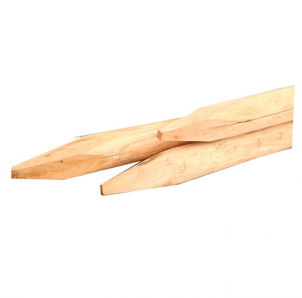 Kastanje palen - 8-10 cm