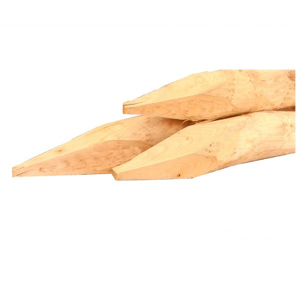 Kastanje palen - 12-14 cm