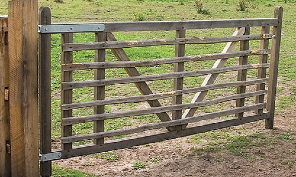 Kastanje weidepoort - Saint-Nicolas