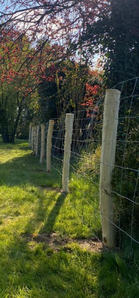 Metalen schapendraad - 100 cm hoog