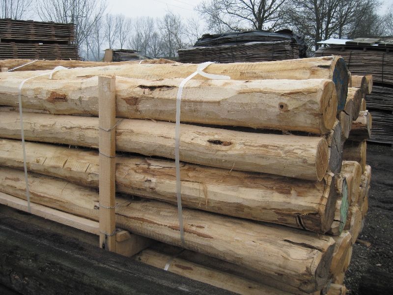 Robinia constructiepalen geschild - 10-12 cm