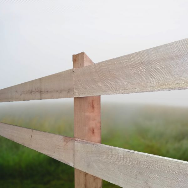 Robinia paardenomheining - Standaard