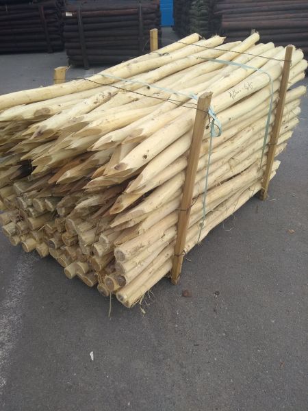 Robinia palen - 6-8 cm