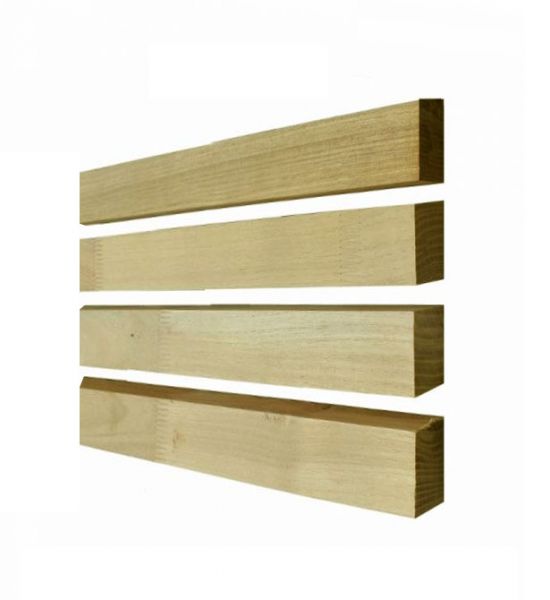 Robinia rhombus - 5 cm breed