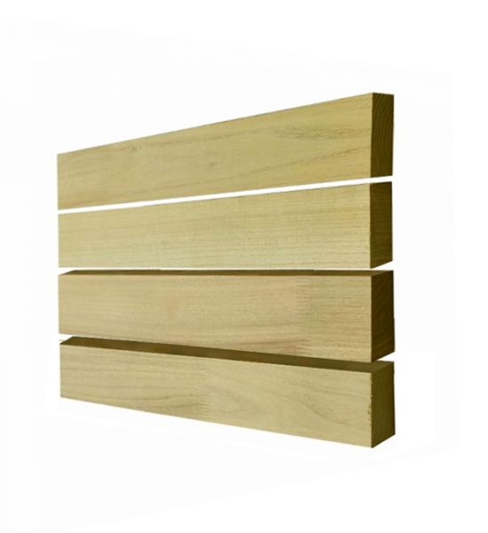 Robinia rhombus - 8 cm breed