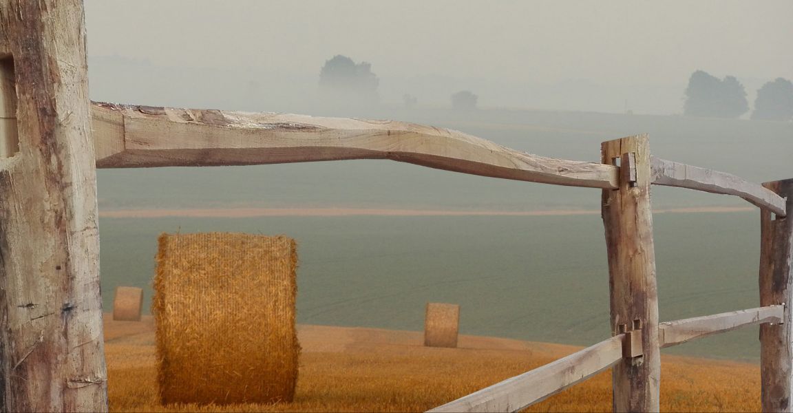 Robinia paardenomheining - Post & Rail Bezaagd