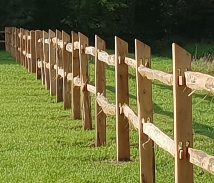 Robinia paardenomheining - Post & Rail Traditional