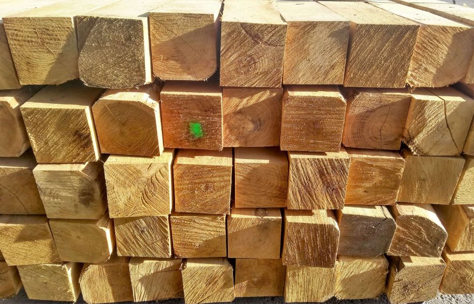 Vierkante robinia palen - 10 x 10 cm