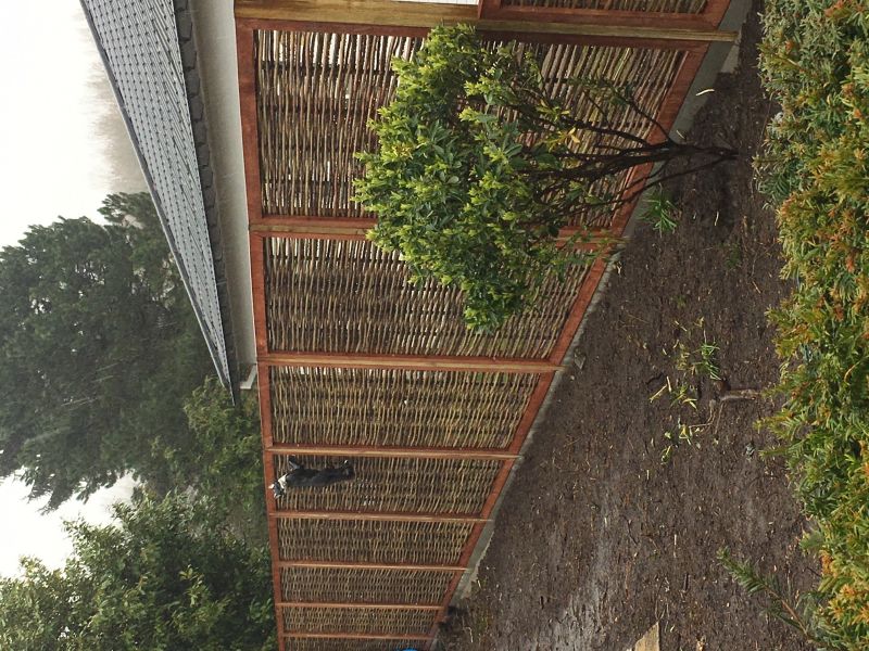 Wilgen scherm grof in kader