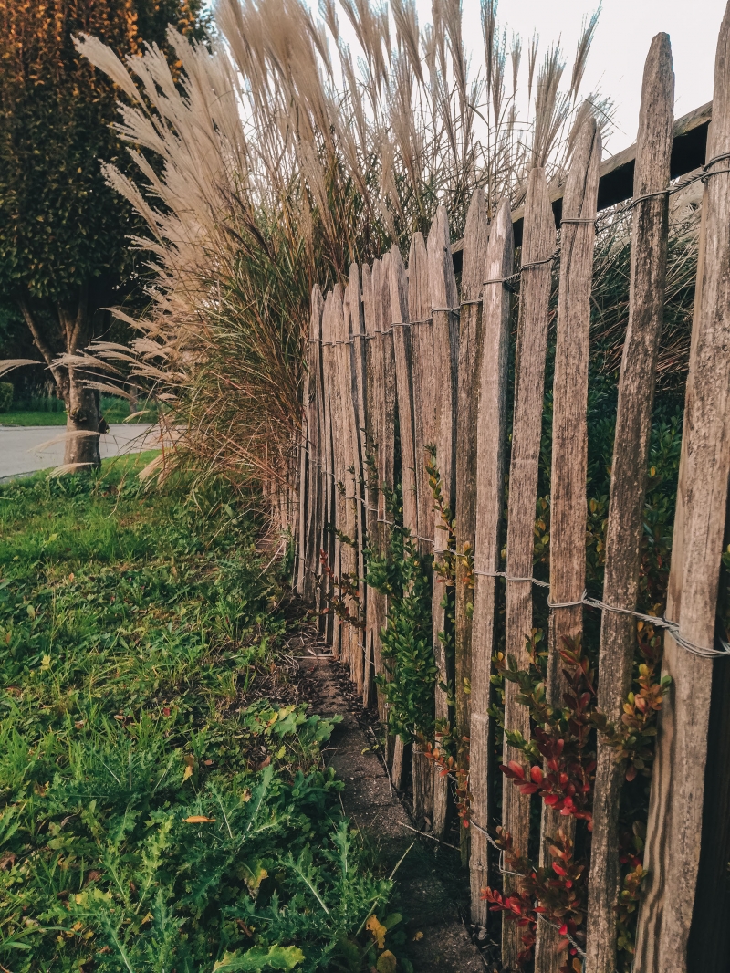 Kastanje omheining - 60 cm hoog