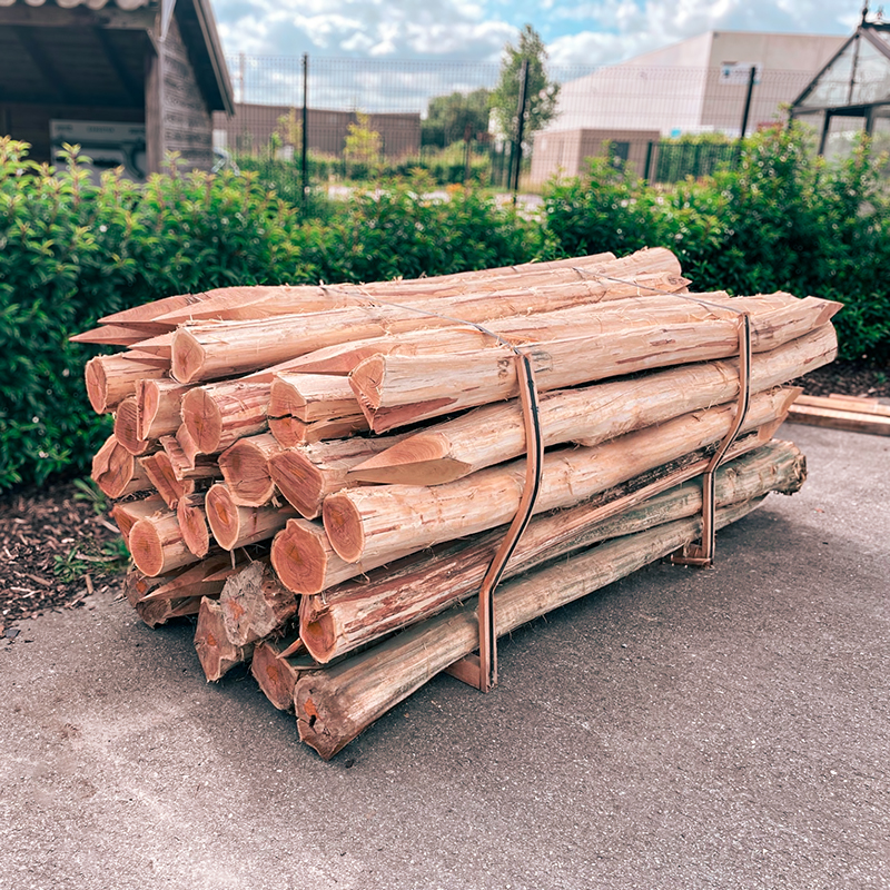 Robinia palen - 14-17 cm