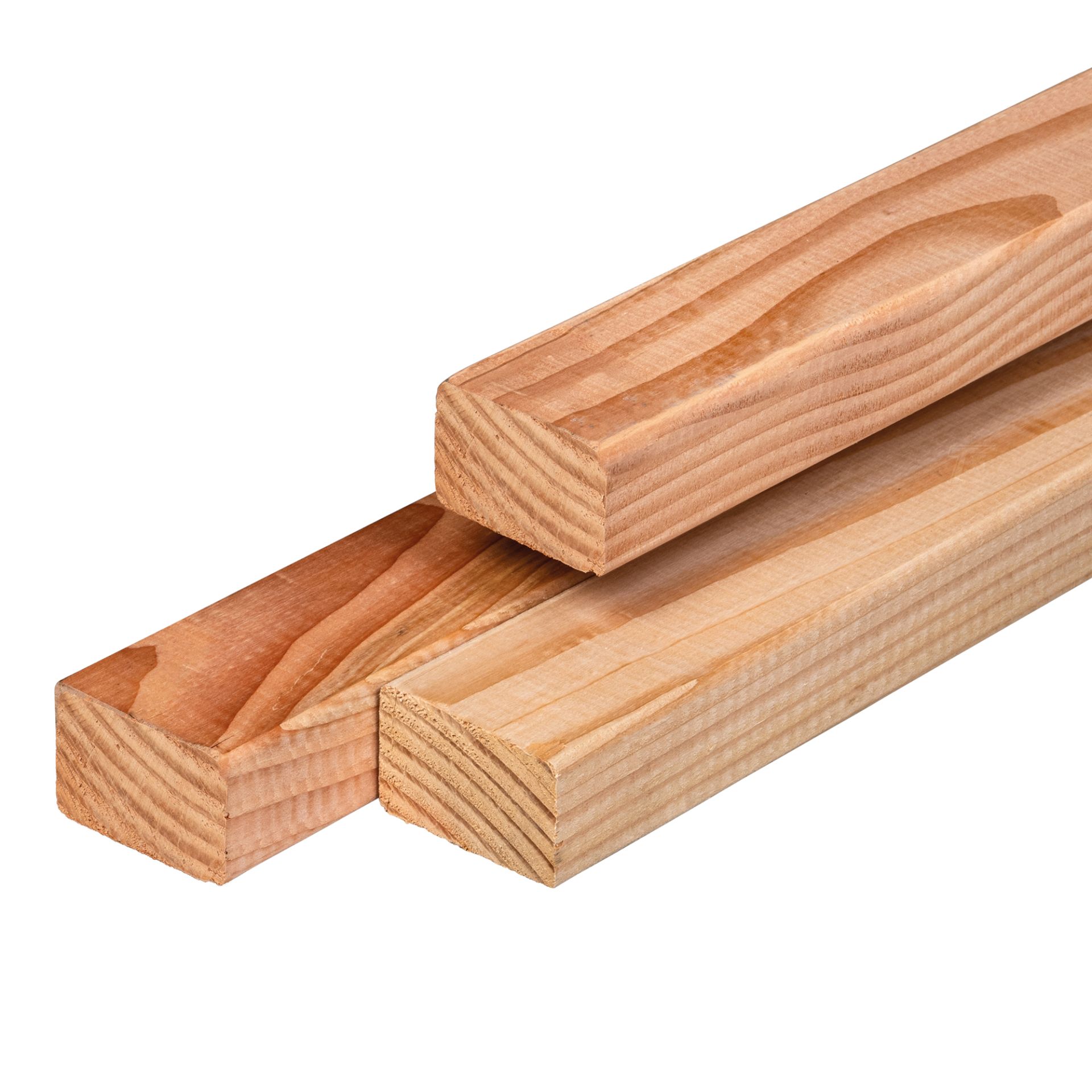 Lariks / douglas kepers - 5,8 x 8 cm - geschaafd