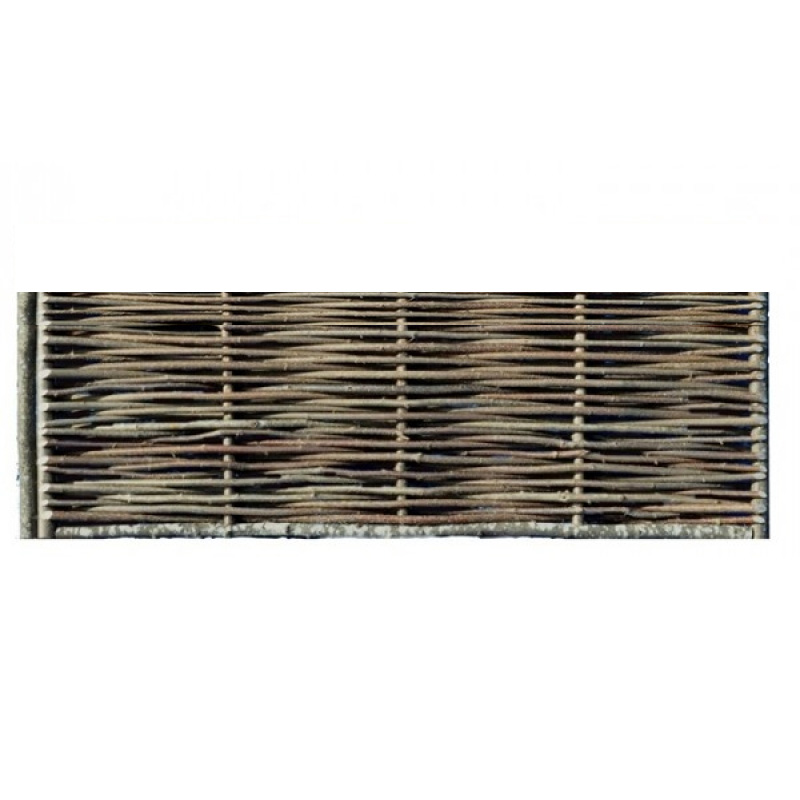 Hazelaar afboording - 30 cm hoog