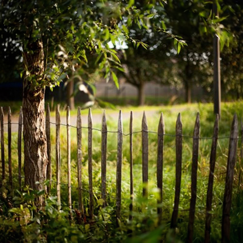 Kastanje omheining - 150 cm hoog