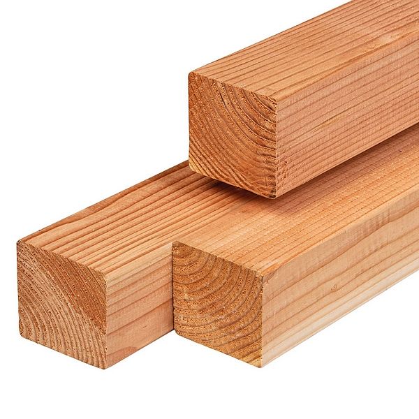 Douglas palen - 11 x 11 cm