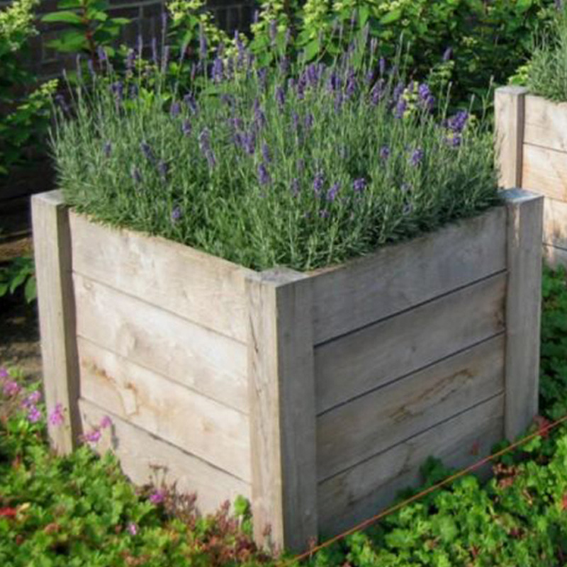 Robinia bloembak - 100 x 100 cm