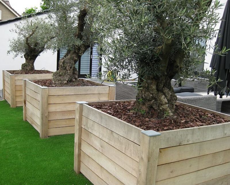 Robinia boombak - 150 x 150 cm