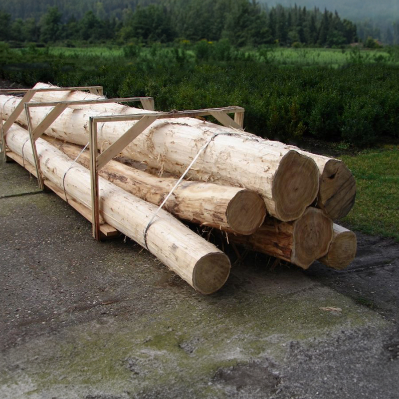 Robinia constructiepalen geschild - 25-30 cm