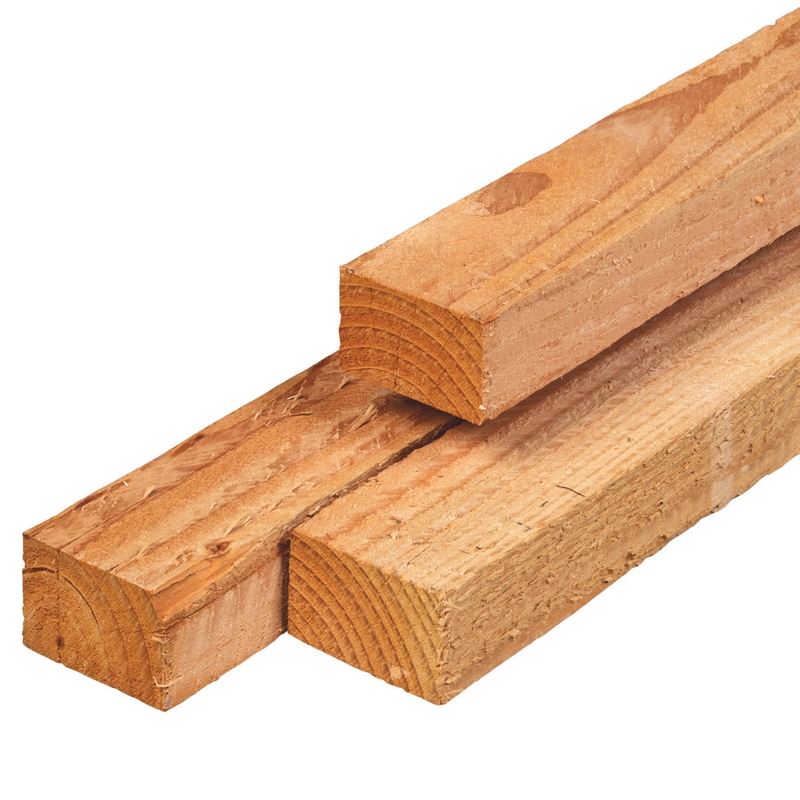 Lariks / douglas kepers - 4,5 x 7,5 cm - fijnbezaagd